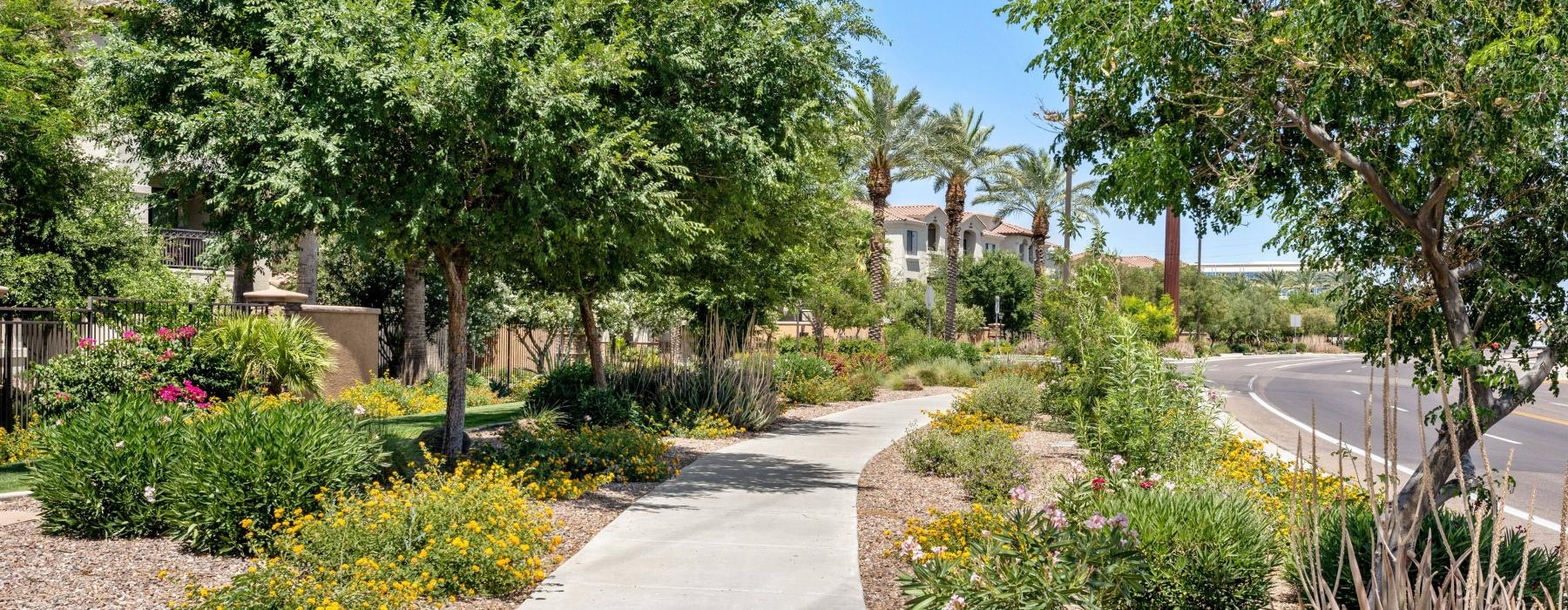 a path with trees and bushes on the side