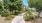 a path with trees and bushes on the side